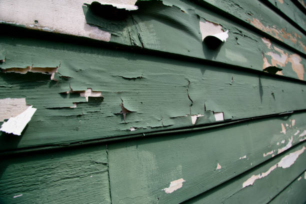 Best Shed Removal  in Townsend, MT