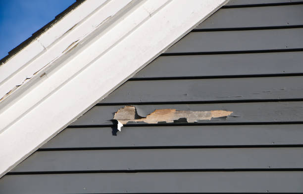 Best Hoarding Cleanup  in Townsend, MT